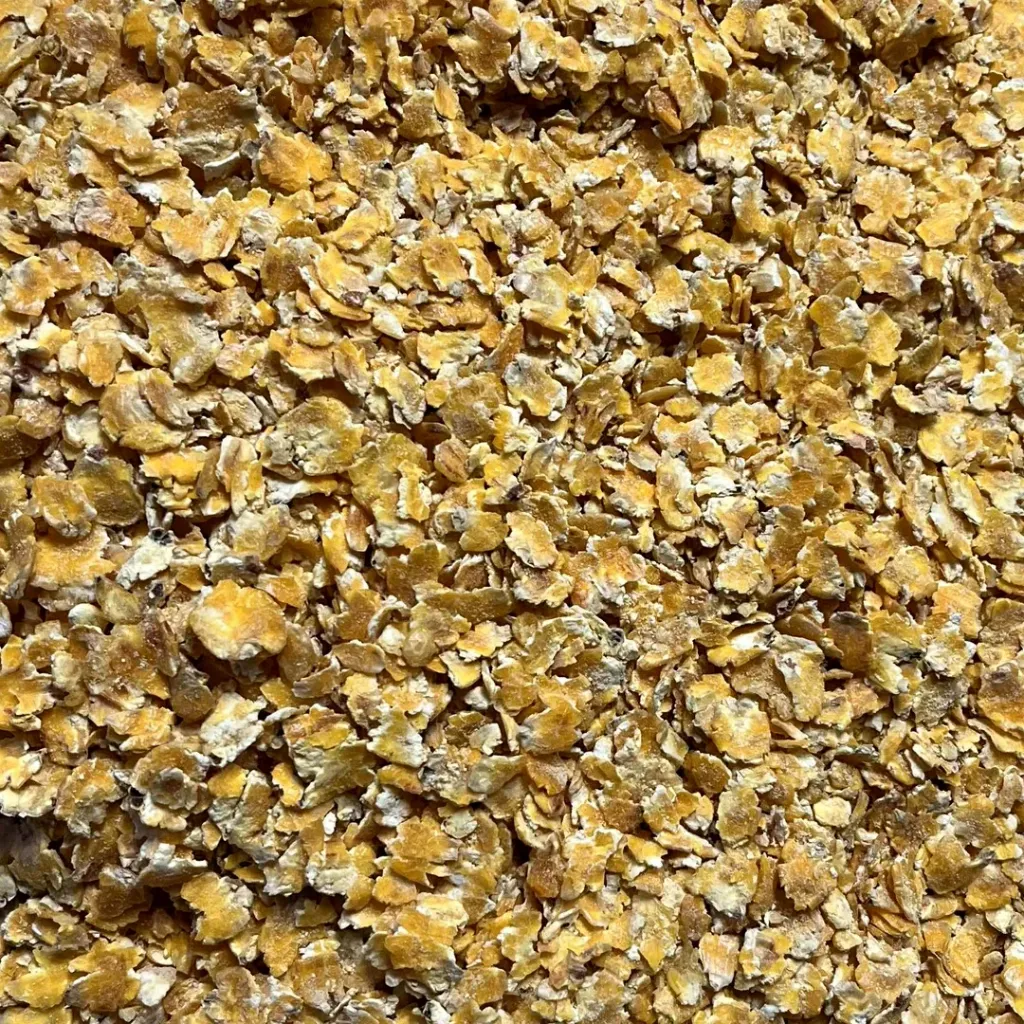 Maïsvlokken - 2,5kg