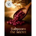 "The Secret" Babycorn Pellets 8mm- 2.5kg